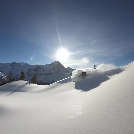Daire Pfyffer - Mountain View Grindelwald