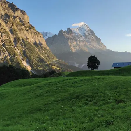Pfyffer - Mountain View شقة