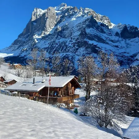 Pfyffer - Mountain View Apartmán Grindelwald