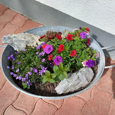 Pfyffer - Mountain View Grindelwald