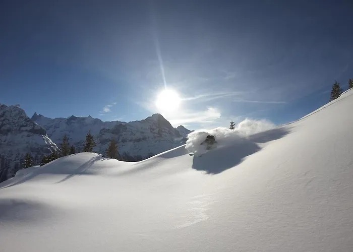 Apartamento Pfyffer - Mountain View Grindelwald