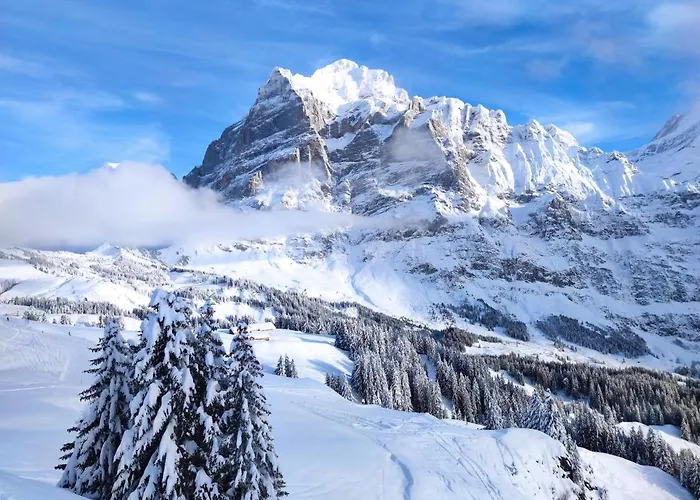 Апартаменты Pfyffer - Mountain View *