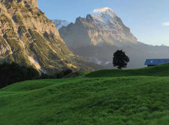 Pfyffer - Mountain View Apartament