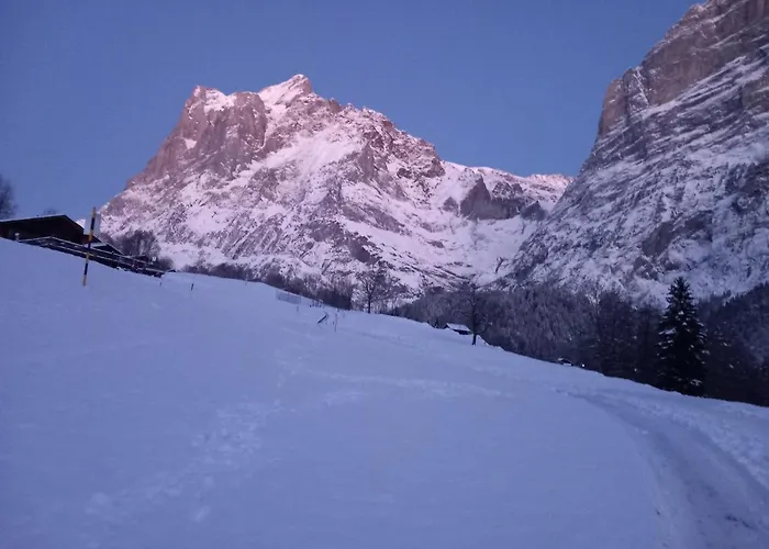 Pfyffer - Mountain View Апартаменты *