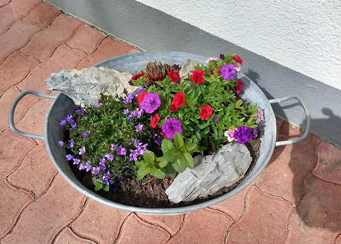 Pfyffer - Mountain View Гриндельвальд