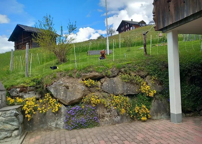 Pfyffer - Mountain View