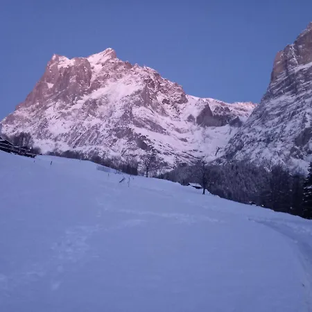 Pfyffer - Mountain View Apartment *